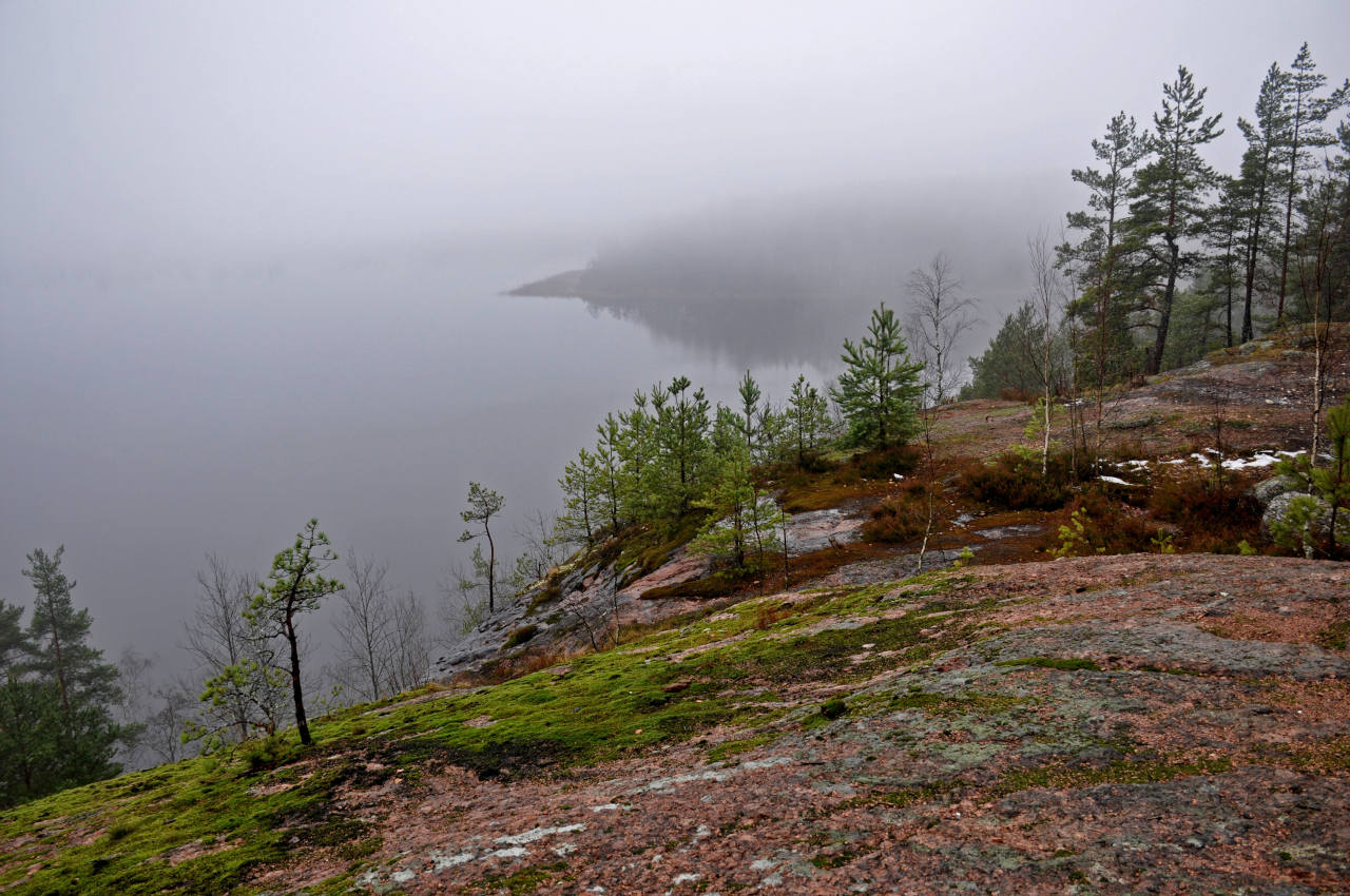 Беличьи скалы, image of landscape/habitat.