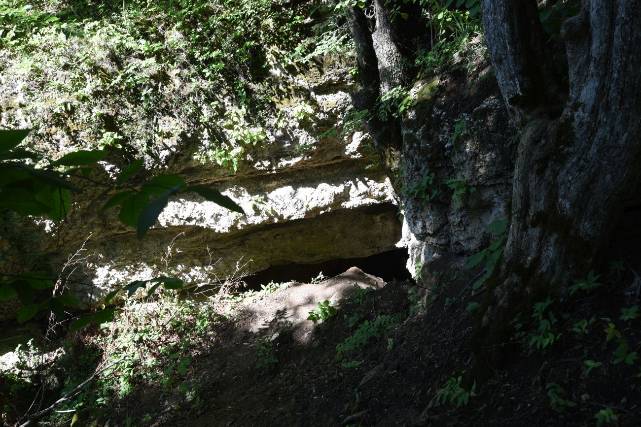 Окрестности пещеры Порошковая, image of landscape/habitat.