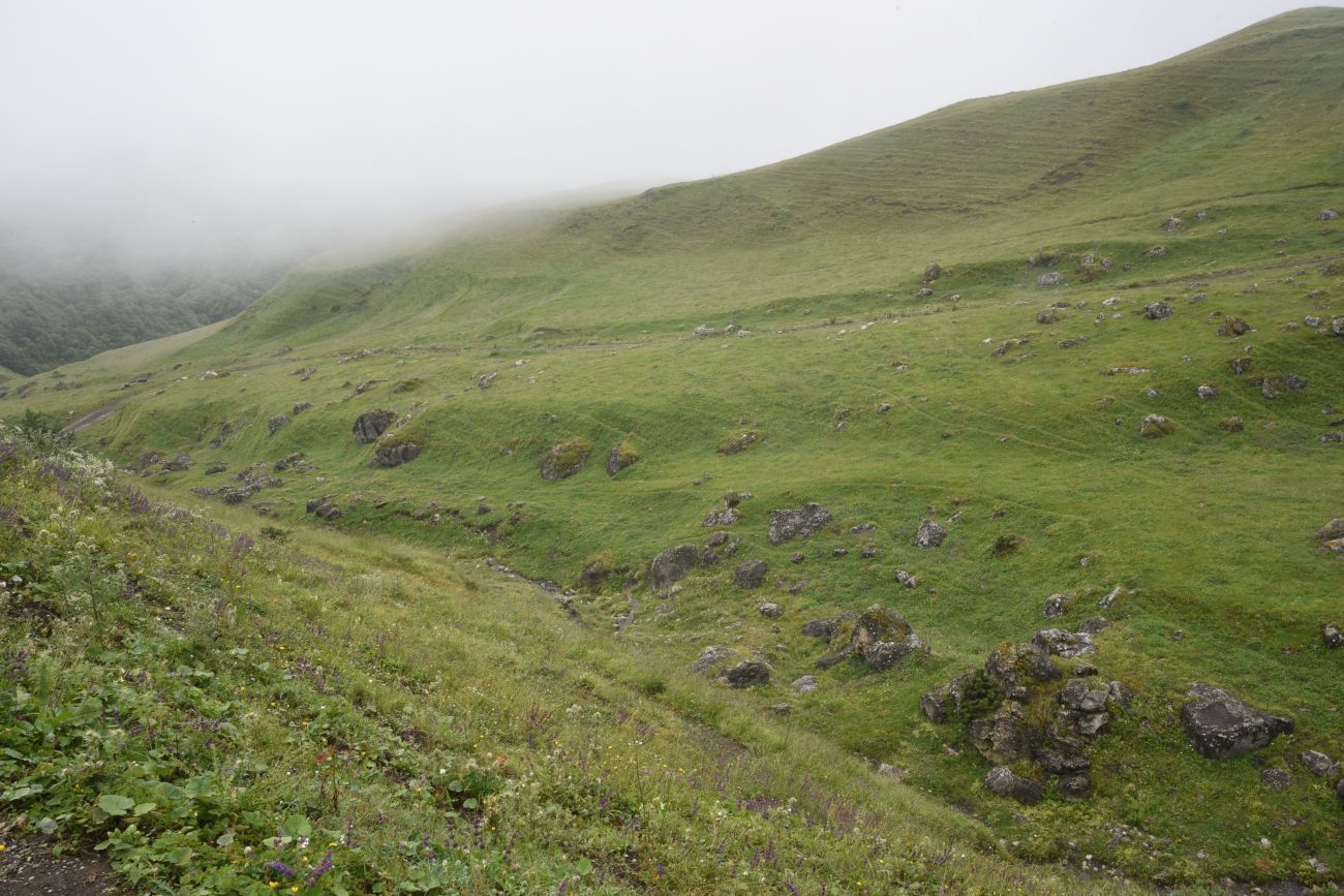 Альплагерь "Кязи" и окрестности, image of landscape/habitat.