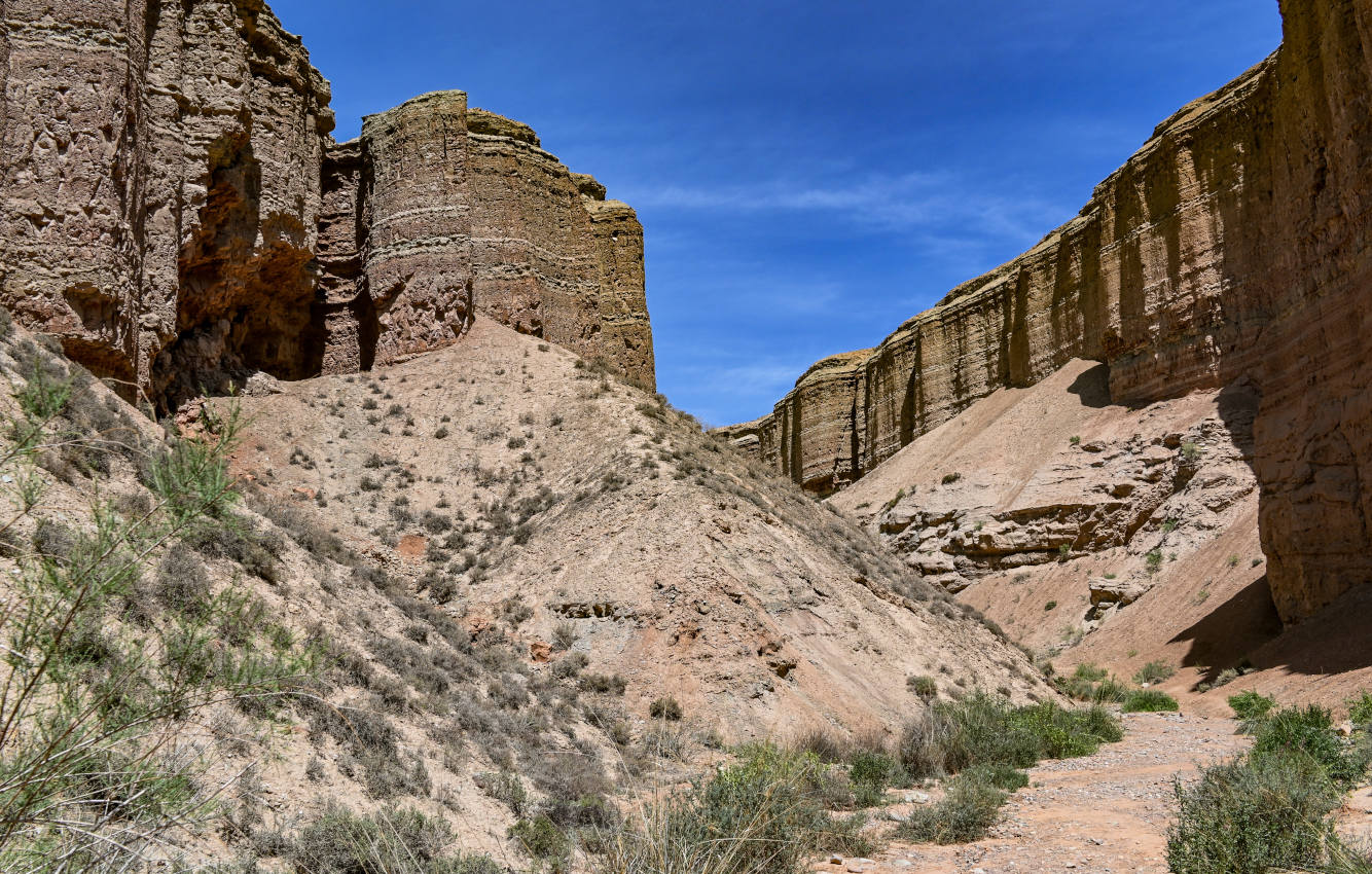 Инопланетная долина, image of landscape/habitat.