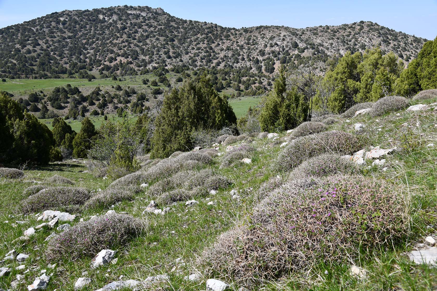Уч-Булак, image of landscape/habitat.