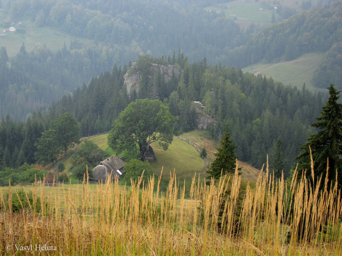 Терношора, image of landscape/habitat.