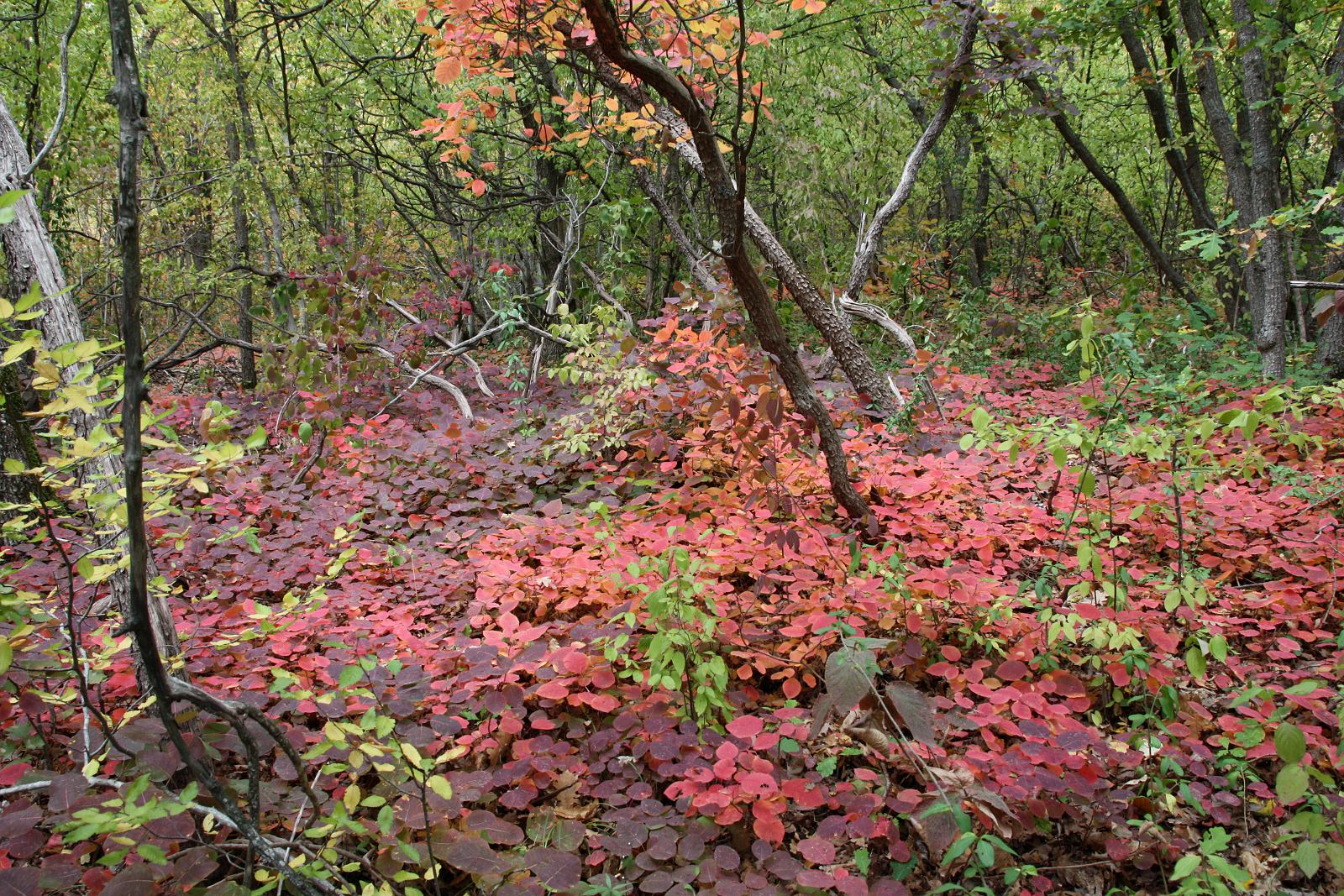 Крымский геологический полигон, image of landscape/habitat.