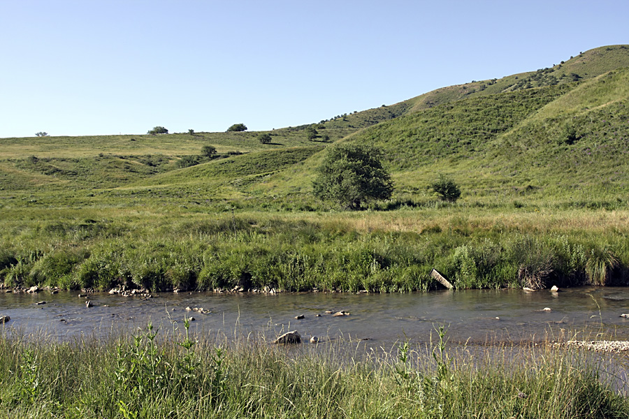 Верхний Боролдай, image of landscape/habitat.