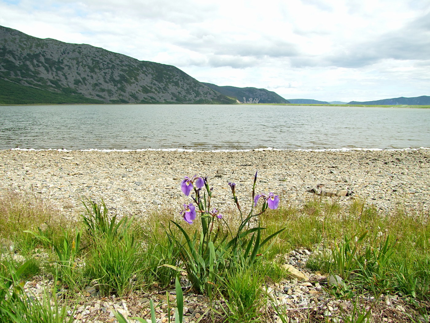 Соленое, image of landscape/habitat.