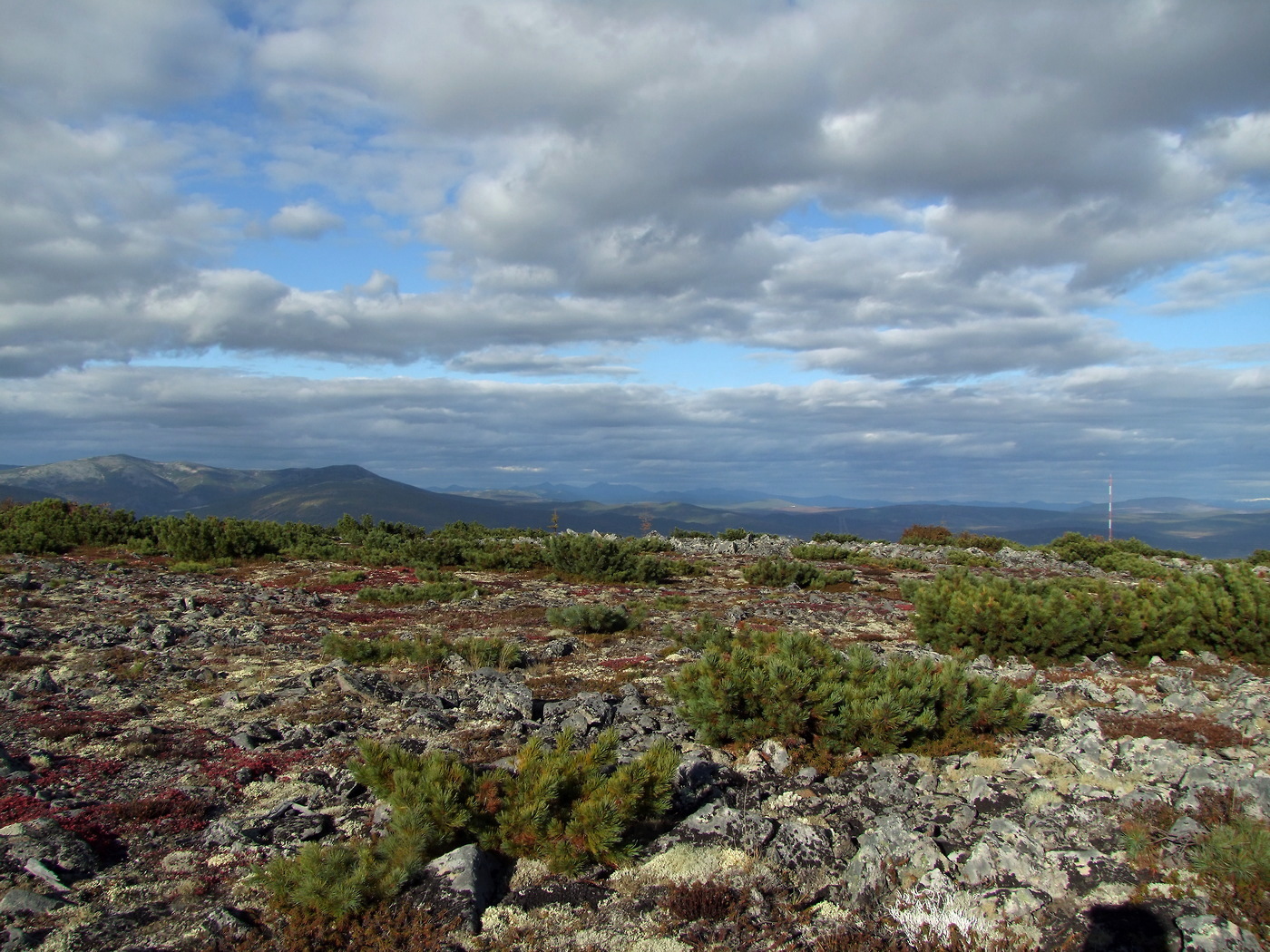 Магадан и окрестности, image of landscape/habitat.