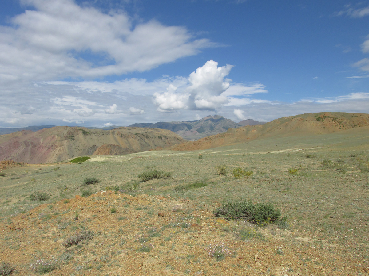 Тыдтуярык (кемпинг и рядом), image of landscape/habitat.