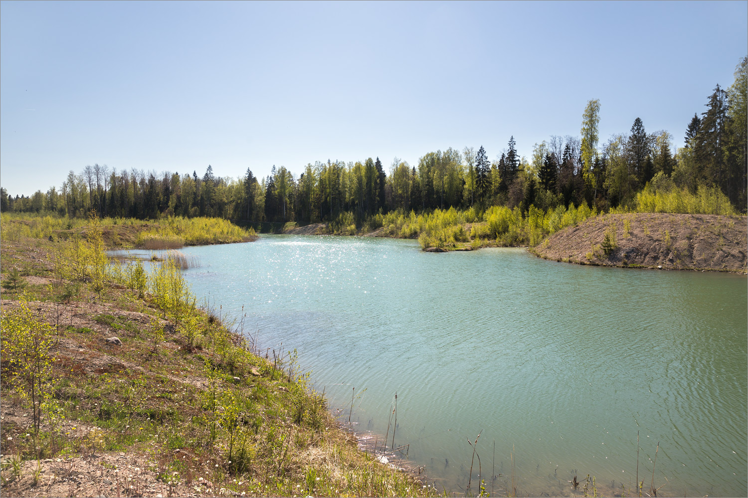 Карьер у деревни Петровское, image of landscape/habitat.