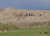 Image of landscape