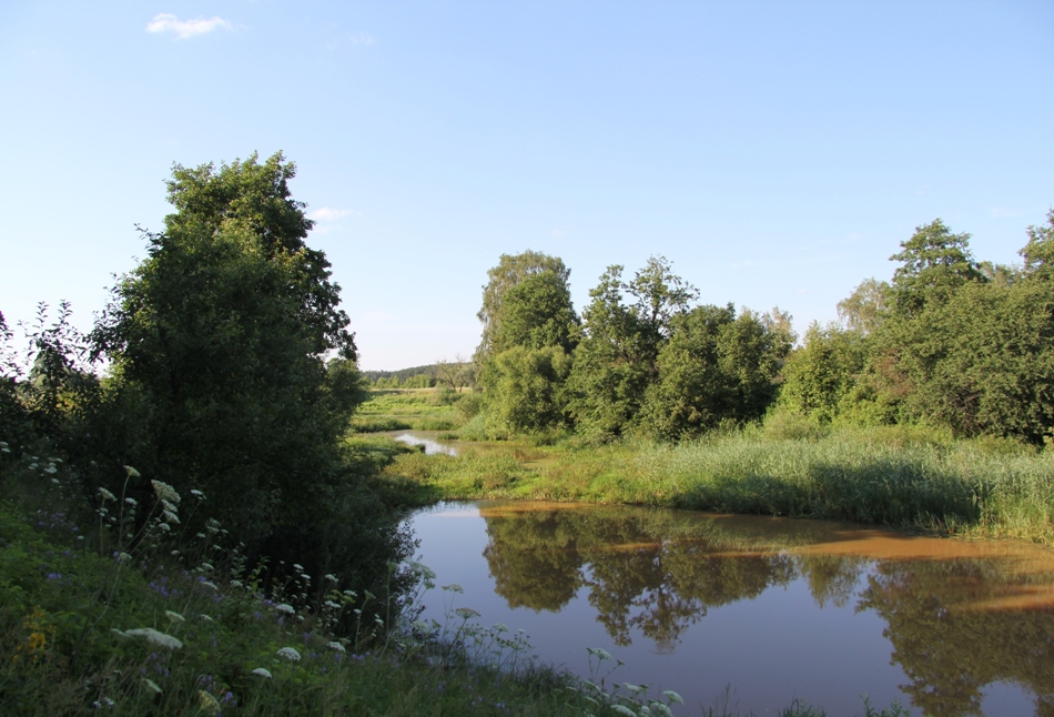 Долина реки Клязьма, image of landscape/habitat.