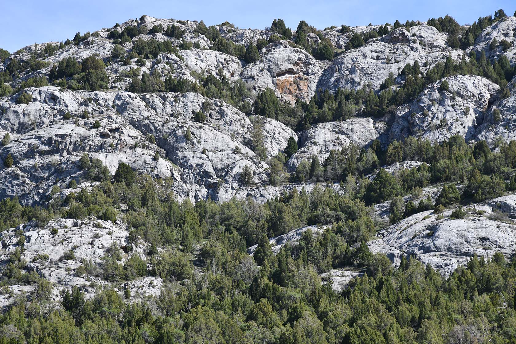 Уч-Булак, image of landscape/habitat.