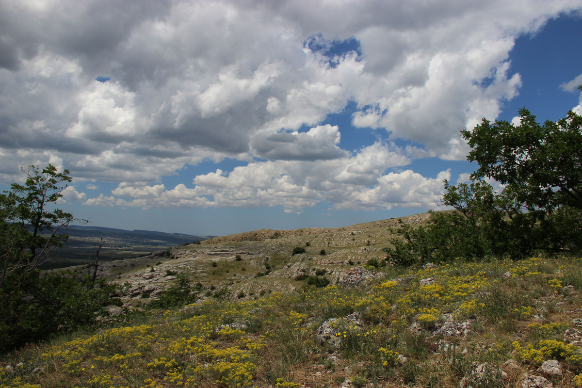 Долгоруковская яйла, image of landscape/habitat.