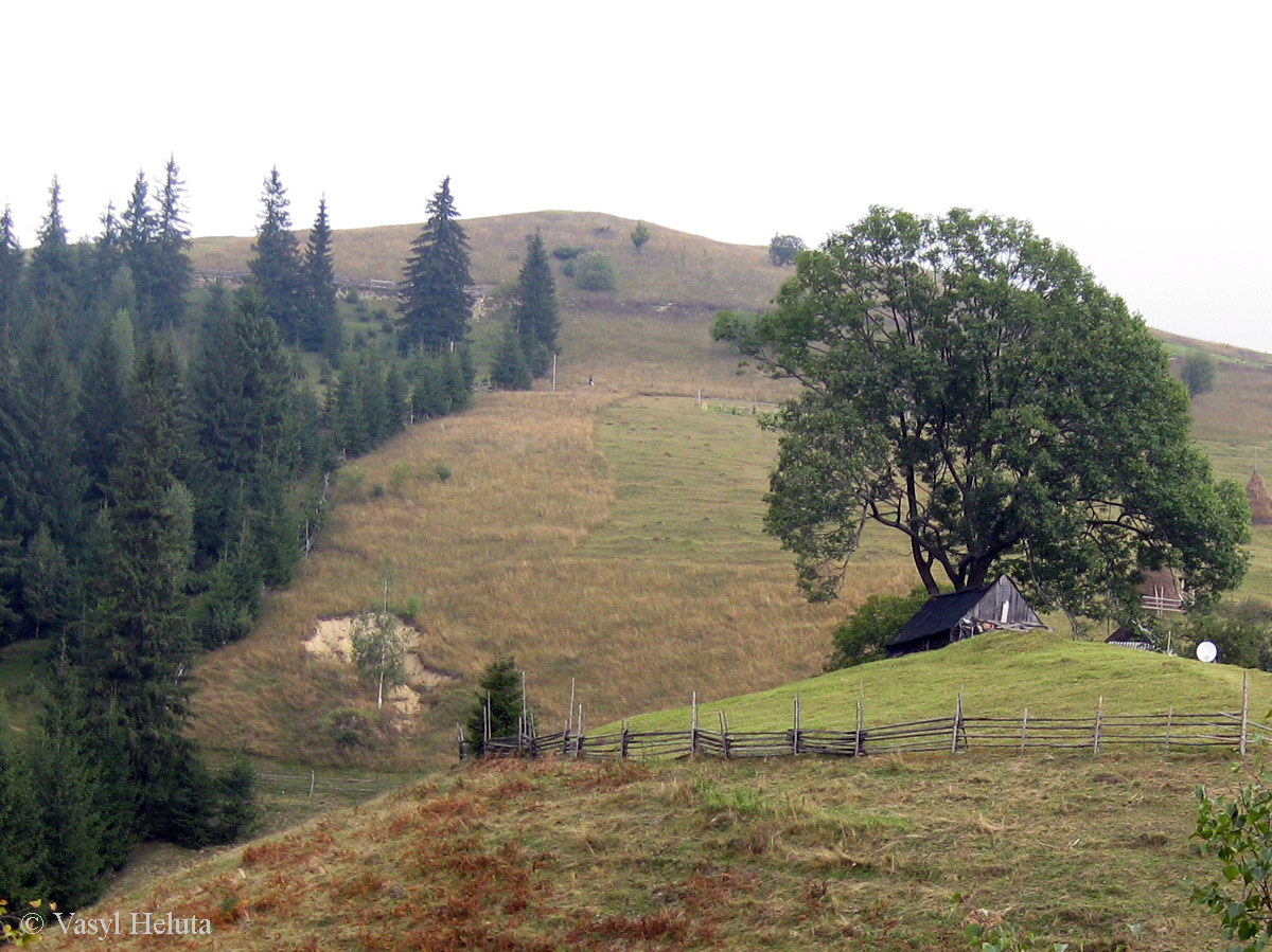 Терношора, изображение ландшафта.