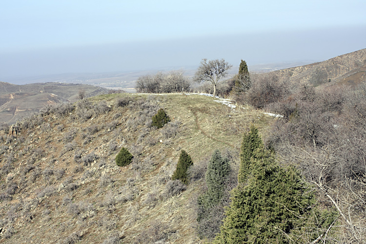 Чаткальский заповедник, image of landscape/habitat.