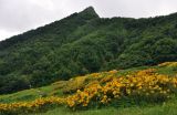 Image of landscape