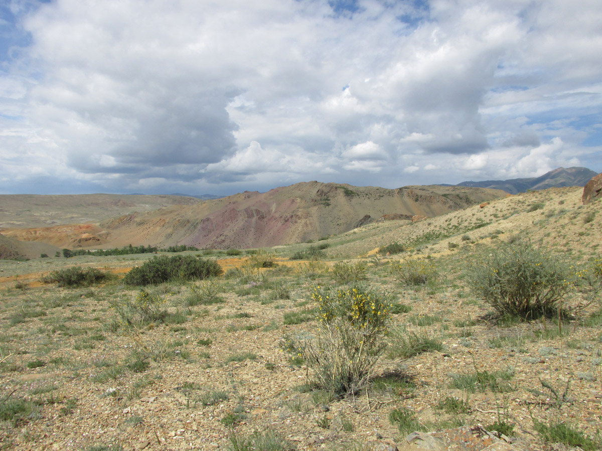 Тыдтуярык (кемпинг и рядом), image of landscape/habitat.