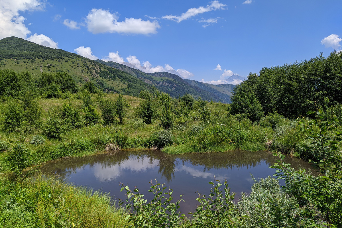 Долина реки Садон, image of landscape/habitat.