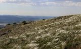 Image of landscape