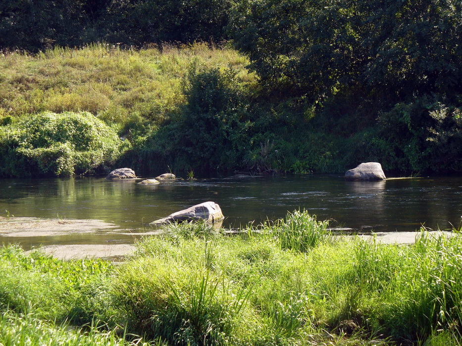 Красные Ткачи, image of landscape/habitat.