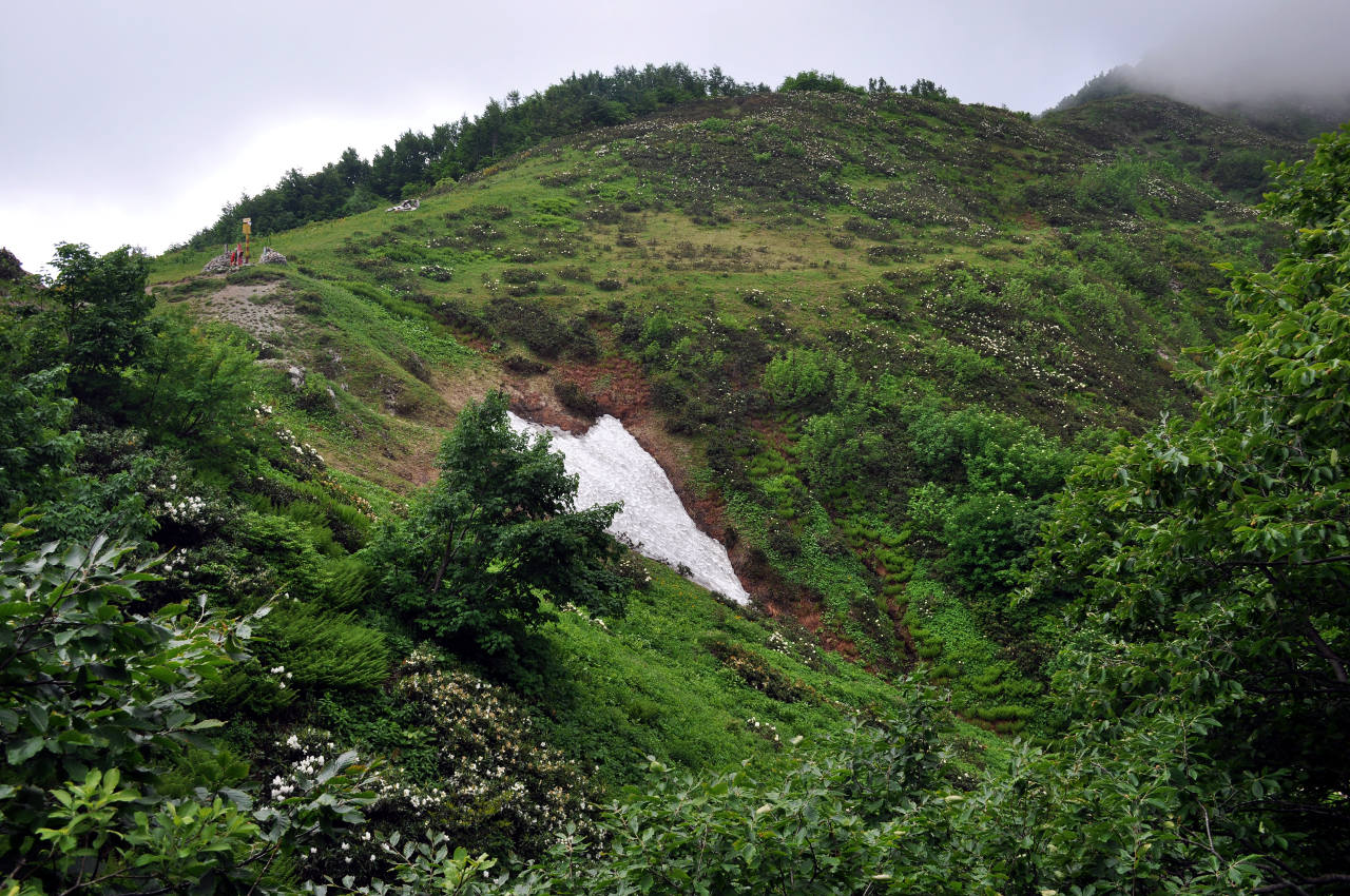 Перевал Черкесский, image of landscape/habitat.