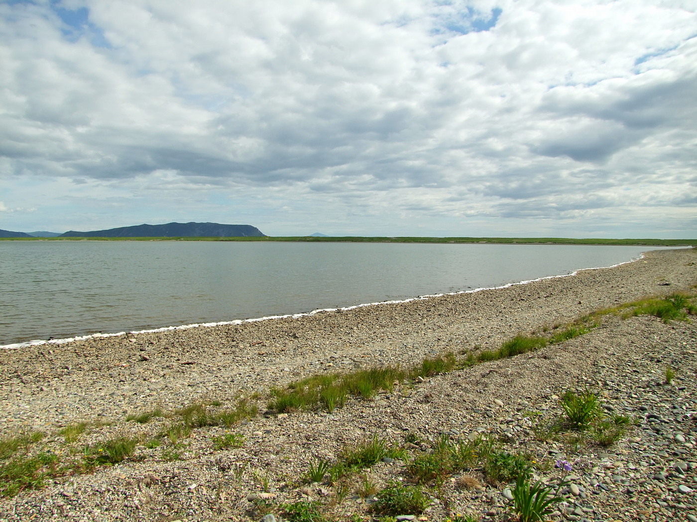 Соленое, image of landscape/habitat.