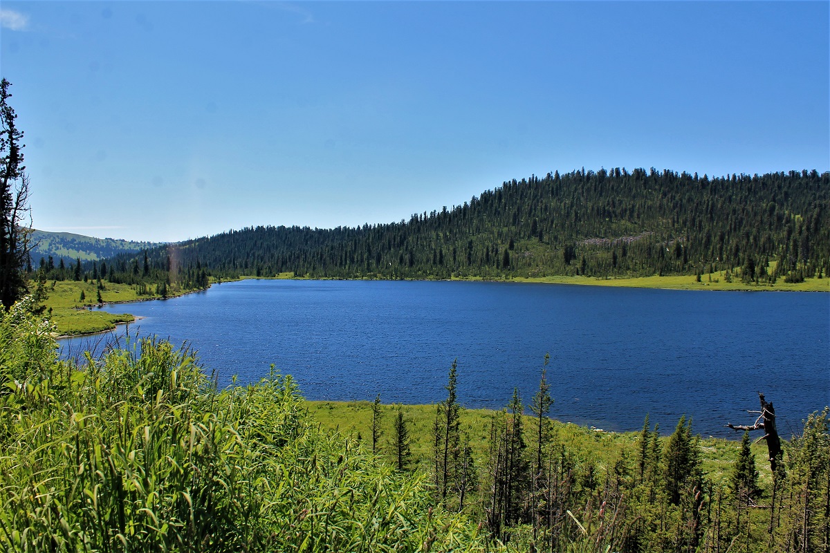 Ойское озеро, image of landscape/habitat.