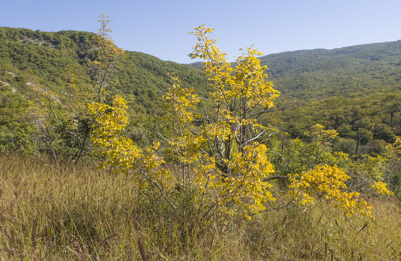 Щель Церковная, image of landscape/habitat.