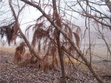 Неберджаевское водохранилище, изображение ландшафта.