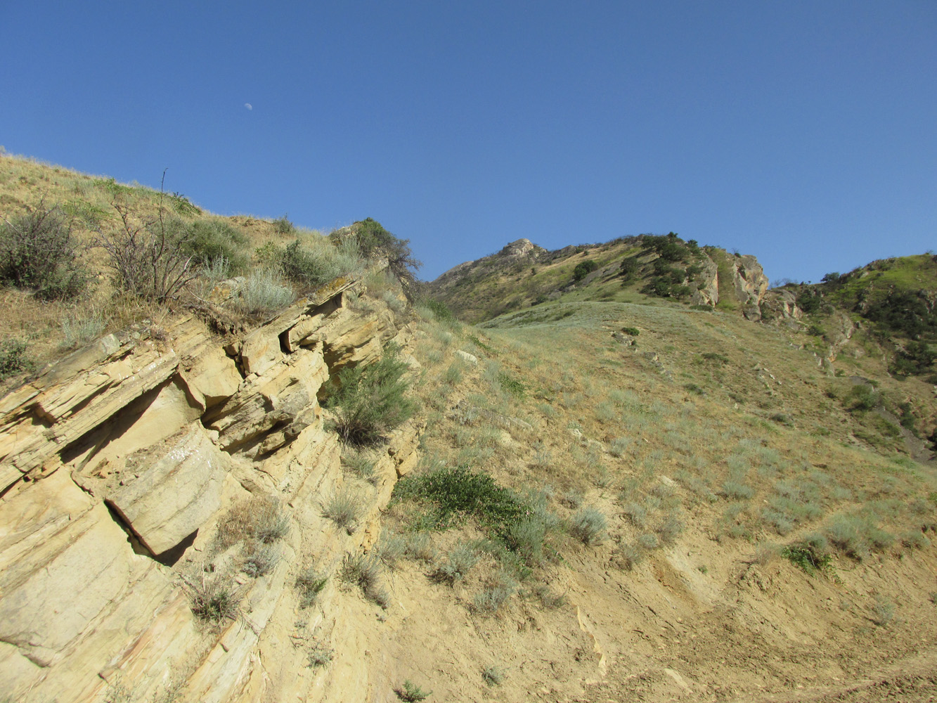 Хребет Нарат-Тюбе, image of landscape/habitat.