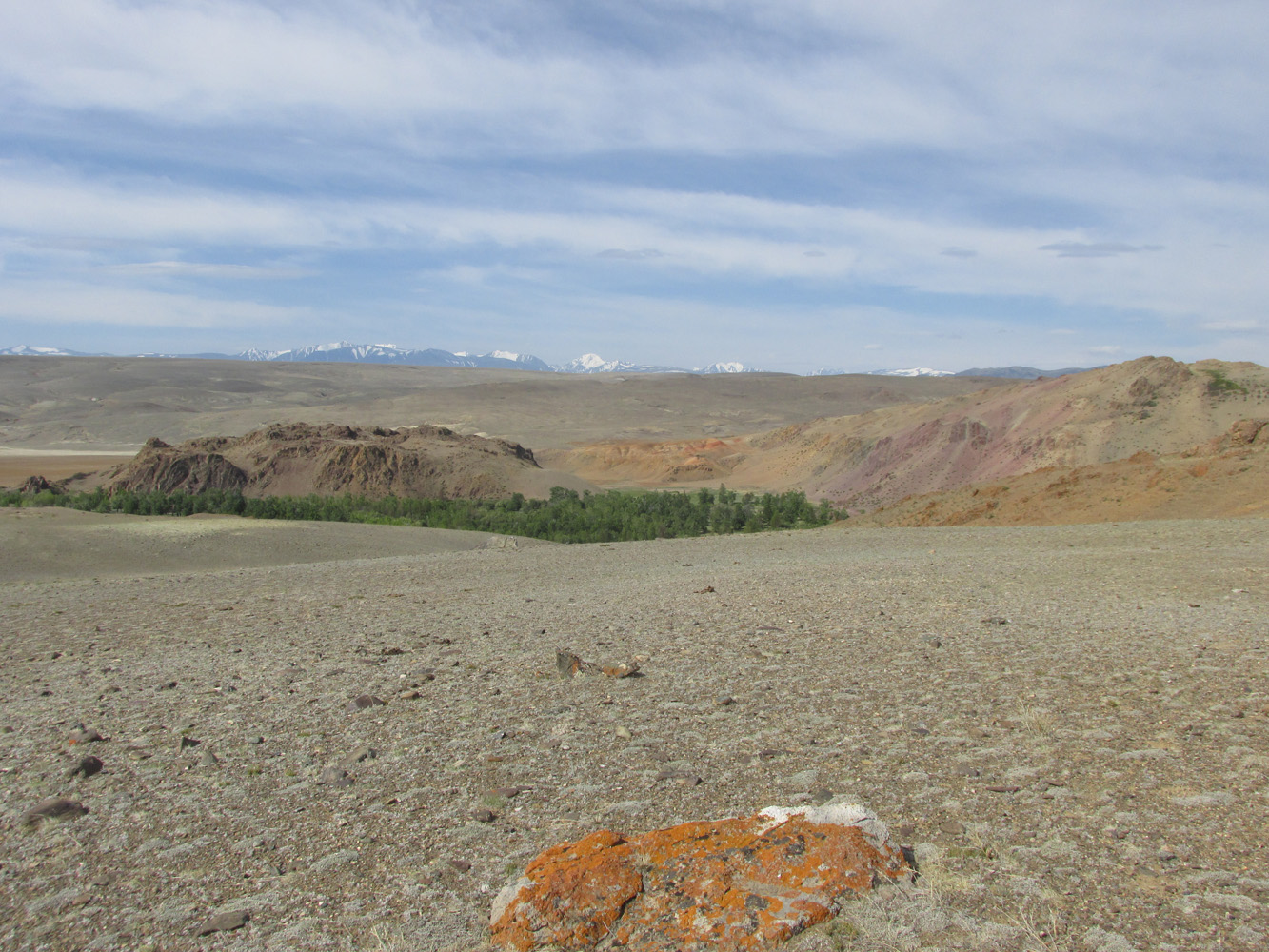 Тыдтуярык (кемпинг и рядом), image of landscape/habitat.