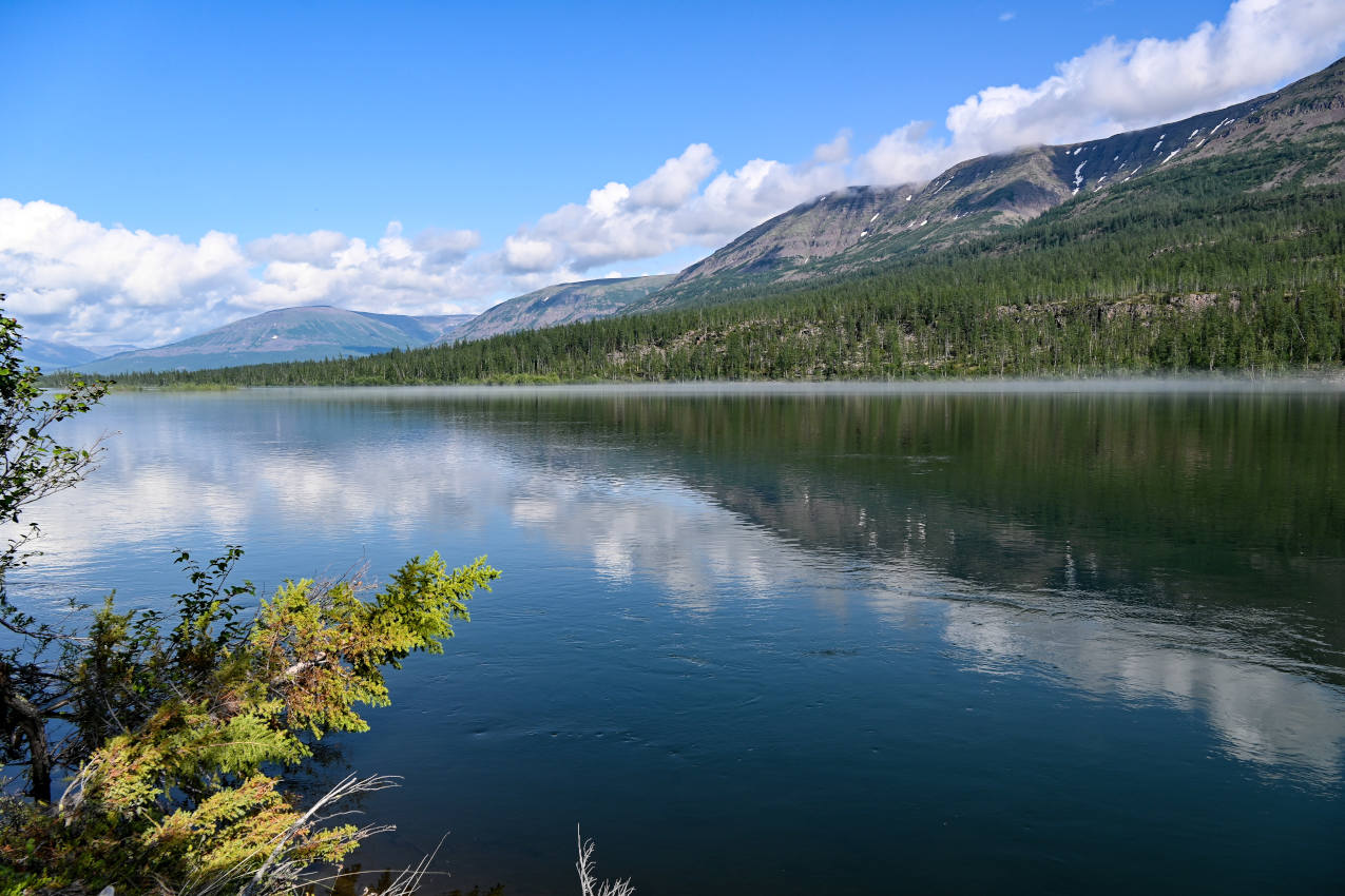 Устье реки Кутарамакан, image of landscape/habitat.