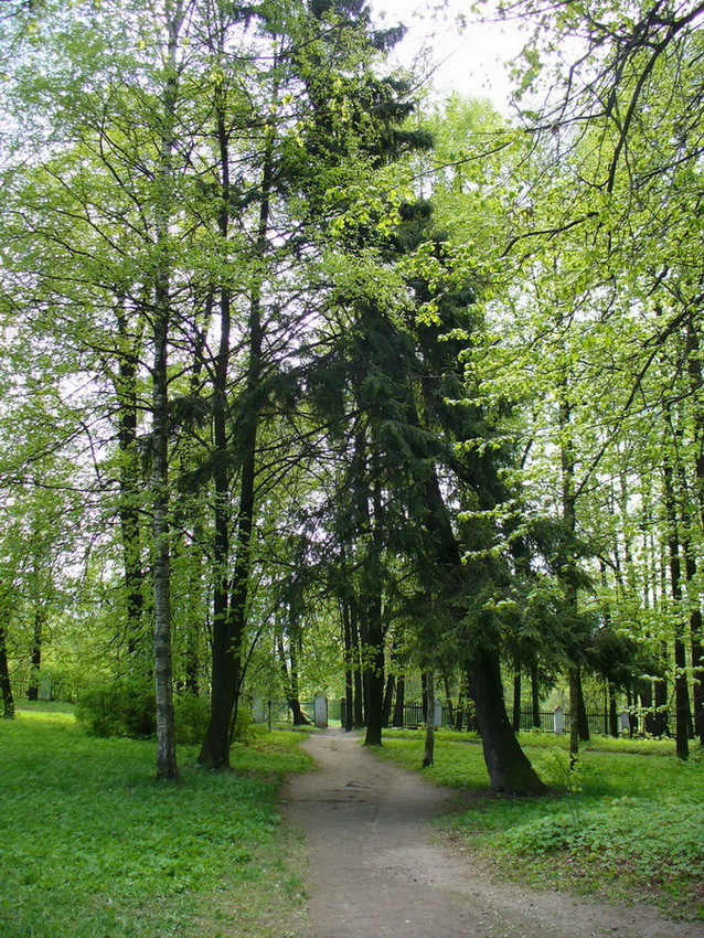 Карабиха, image of landscape/habitat.