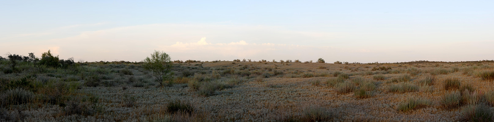 Кызылкум Восточный 2, изображение ландшафта.