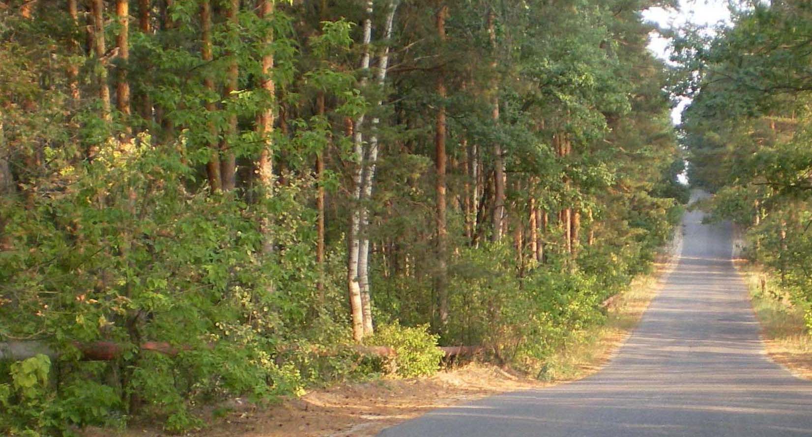 Окрестности города Заречного, image of landscape/habitat.