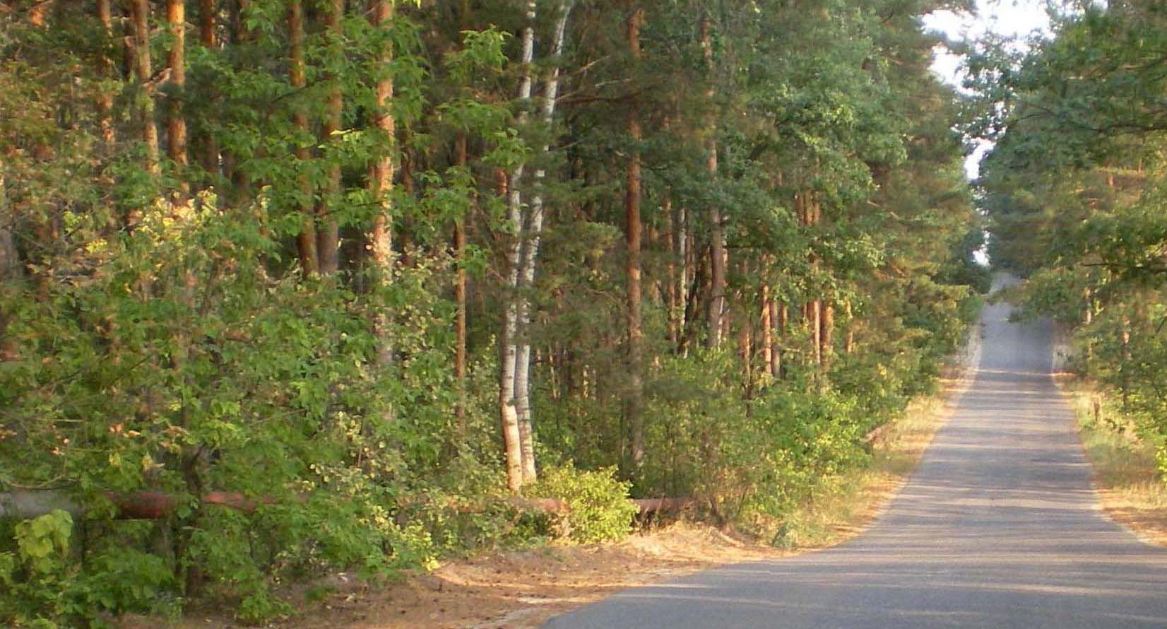 Окрестности города Заречного, изображение ландшафта.