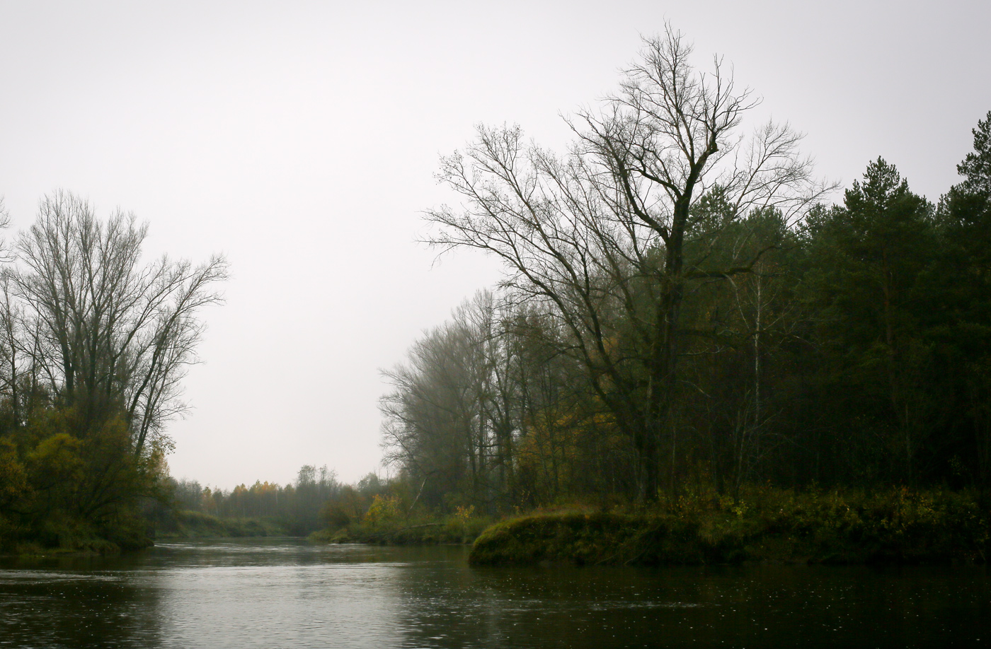 Окрестности села Ключи, image of landscape/habitat.