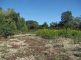 Абинск, image of landscape/habitat.