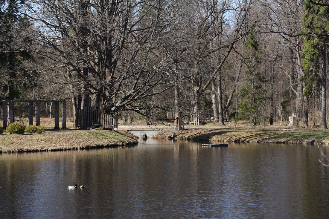 Красная Слобода, image of landscape/habitat.