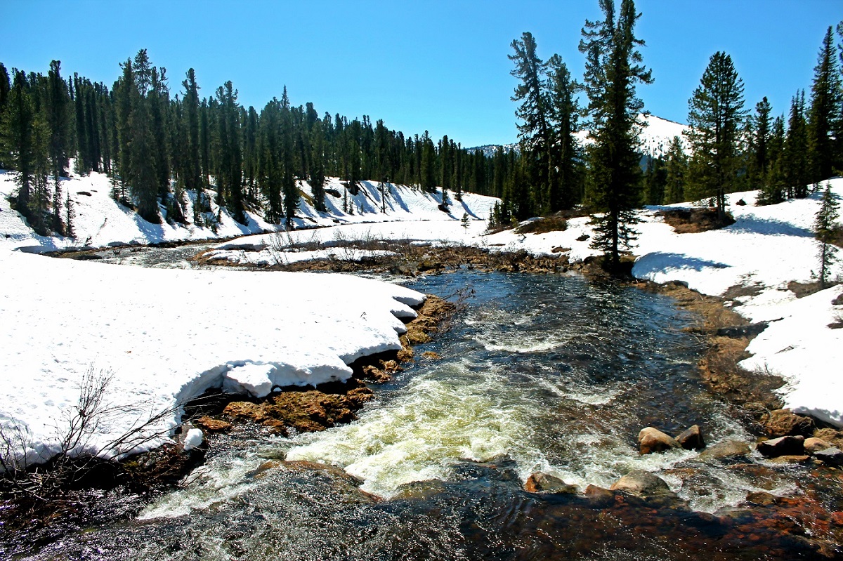 Западный Саян, Ергаки, image of landscape/habitat.