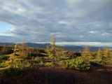 Image of landscape