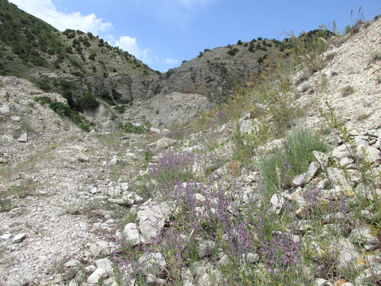 Талги, image of landscape/habitat.