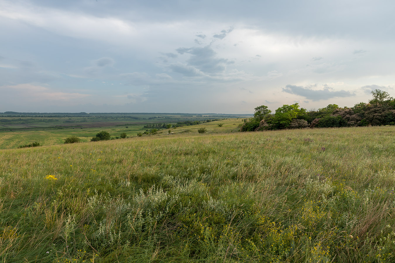 Тузловские склоны, image of landscape/habitat.