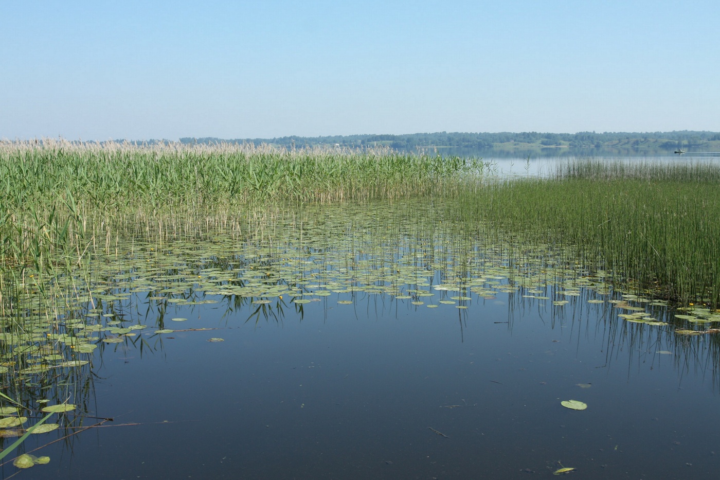 Езерище и окрестности, image of landscape/habitat.