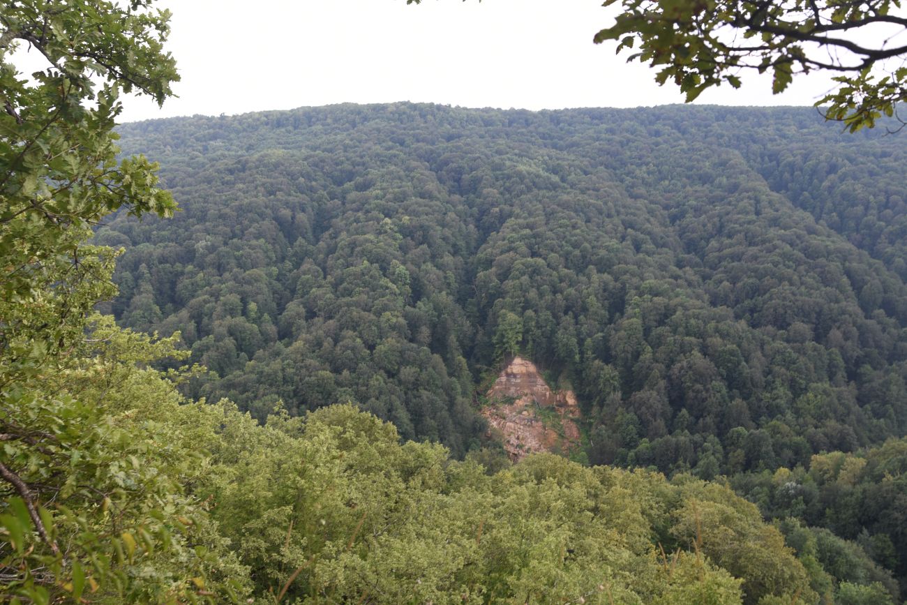 Долина реки Аминовка, image of landscape/habitat.