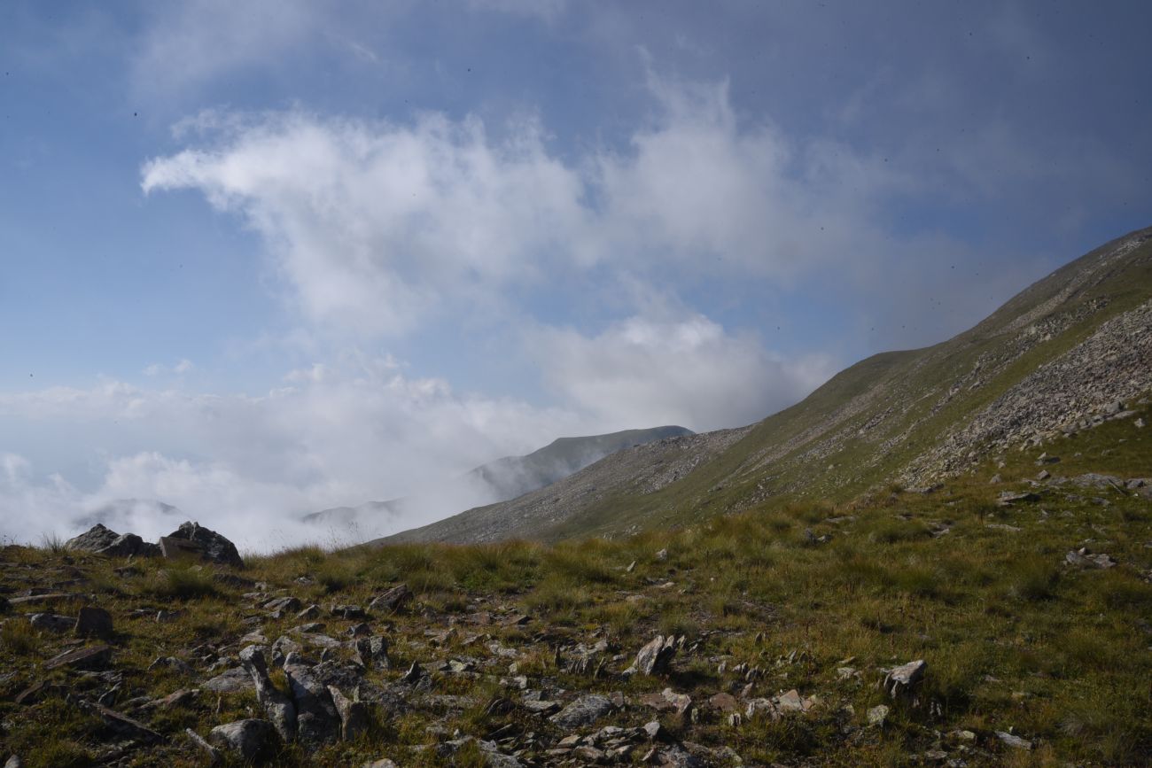 4 км от Цумандинского перевала, image of landscape/habitat.