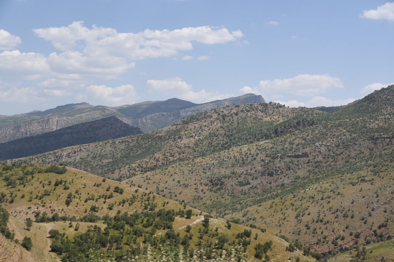 Шеноба, image of landscape/habitat.