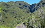 Image of landscape