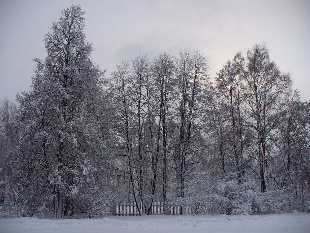 Карабиха, image of landscape/habitat.