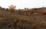 Image of landscape