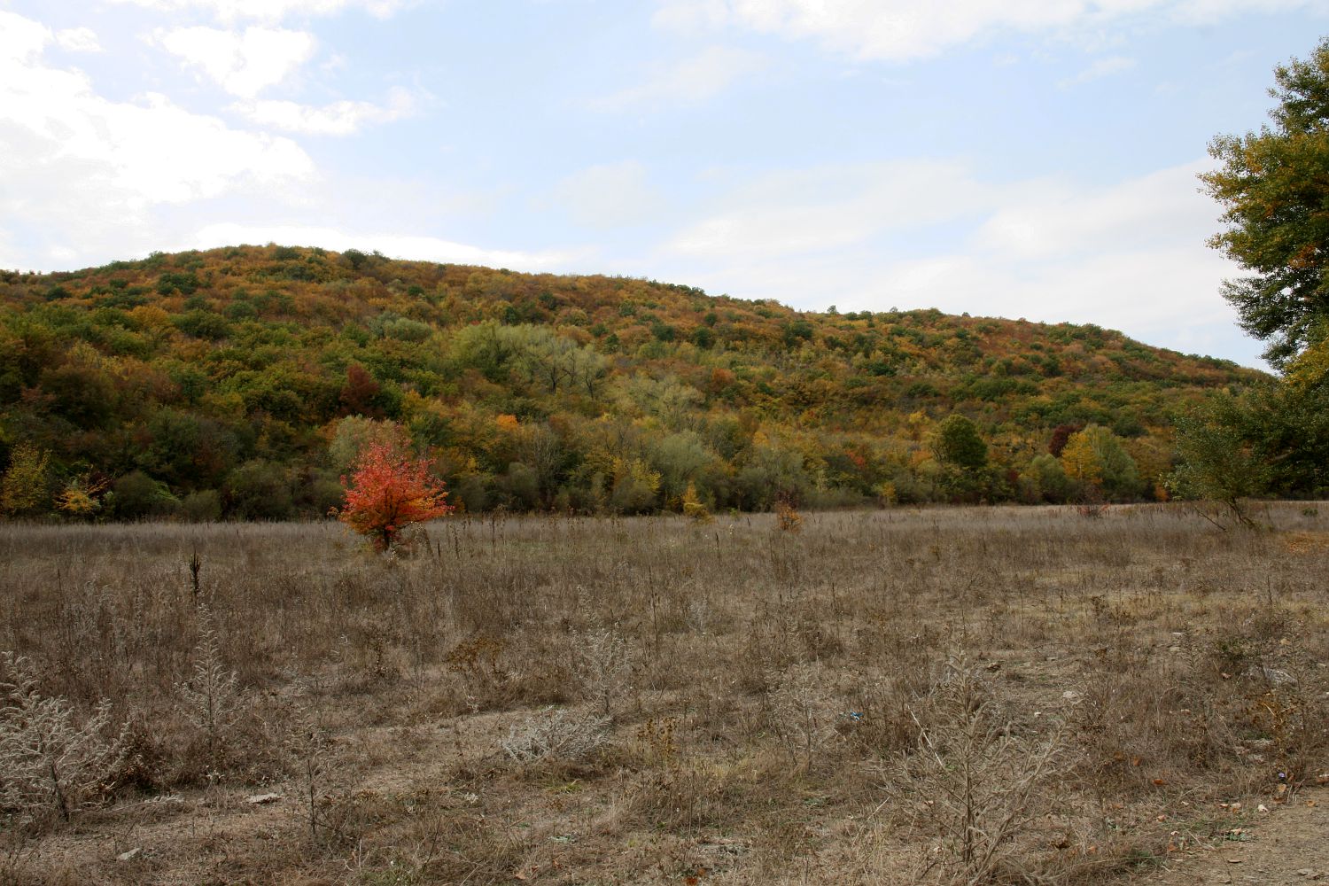 Крымский геологический полигон, image of landscape/habitat.